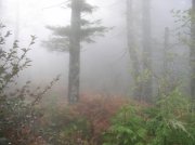 10.28.05 Devil's Rest 073 